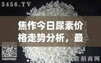 焦作今日尿素价格走势分析,最新报价及市场动态解读