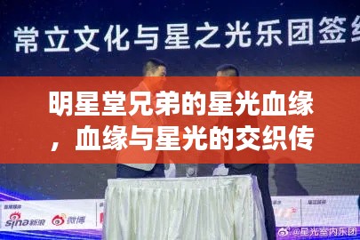 明星堂兄弟的星光血缘,血缘与星光的交织传奇故事