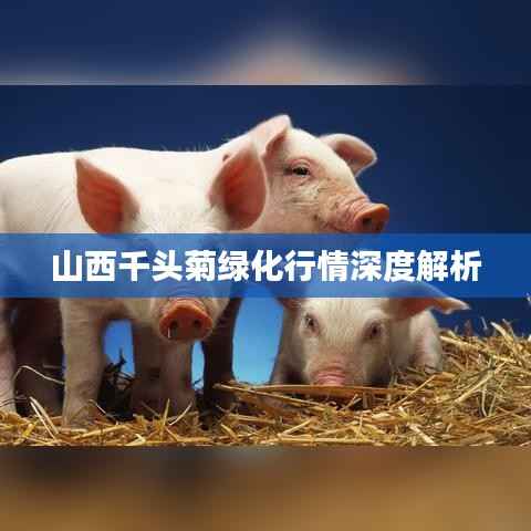 新闻动态 第221页