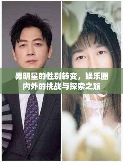 男明星的性别转变,娱乐圈内外的挑战与探索之旅