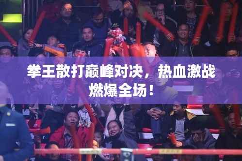 拳王散打巅峰对决,热血激战燃爆全场!