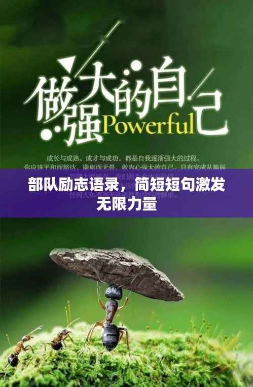 部队励志语录,简短短句激发无限力量
