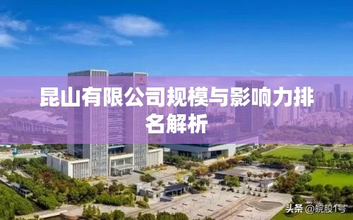 昆山有限公司规模与影响力排名解析