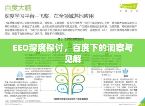 EEO深度探讨,百度下的洞察与见解