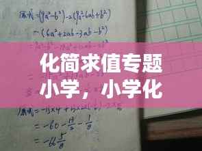 化简求值专题小学,小学化简并求值的题和答案