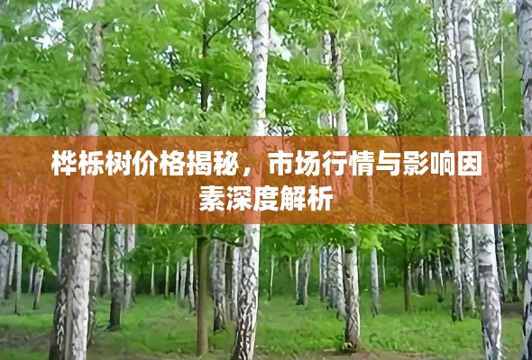 桦栎树价格揭秘,市场行情与影响因素深度解析