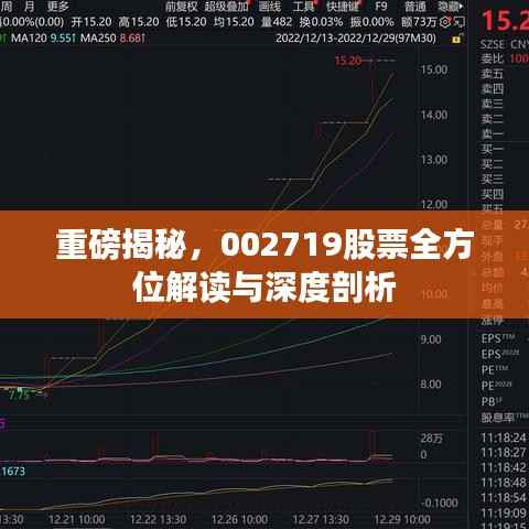 重磅揭秘,002719股票全方位解读与深度剖析