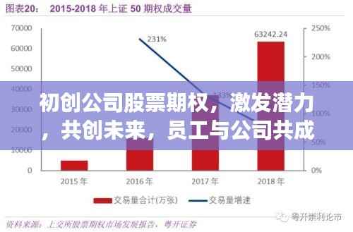 初创公司股票期权,激发潜力,共创未来,员工与公司共成长之路