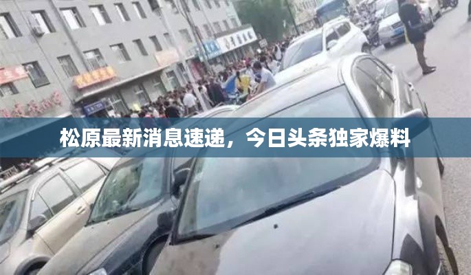 松原最新消息速递,今日头条独家爆料