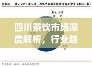 四川茶饮市场深度解析,行业趋势、机遇与挑战