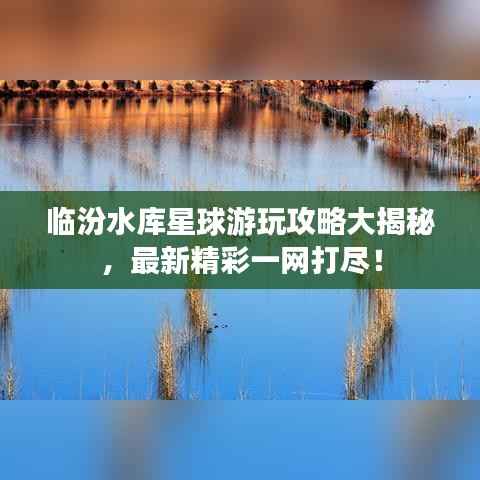 临汾水库星球游玩攻略大揭秘,最新精彩一网打尽!