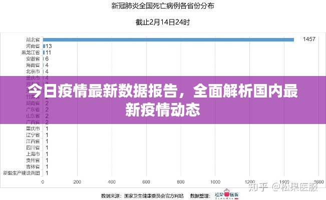 今日疫情最新数据报告,全面解析国内最新疫情动态