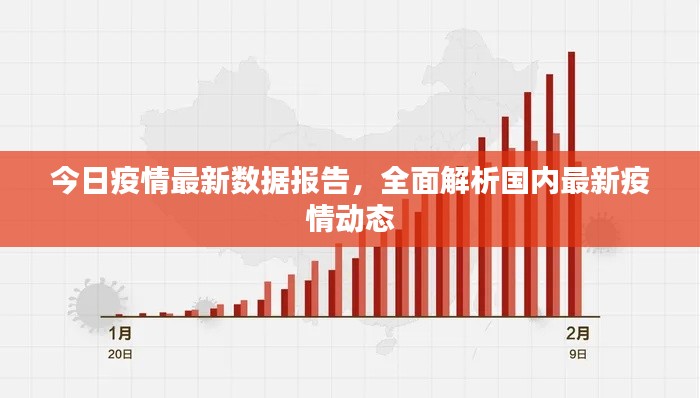 今日疫情最新数据报告,全面解析国内最新疫情动态