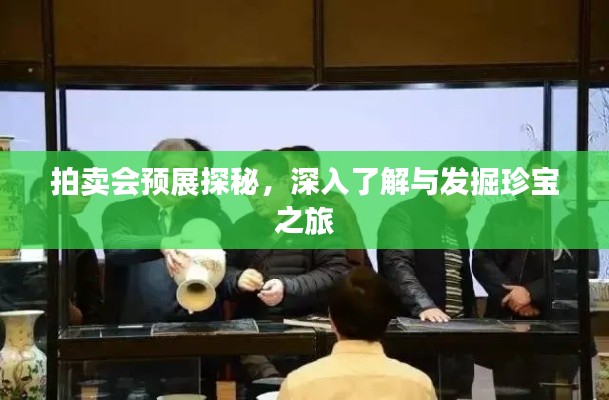 拍卖会预展探秘,深入了解与发掘珍宝之旅