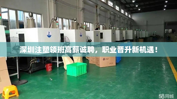 深圳注塑领班高薪诚聘,职业晋升新机遇!