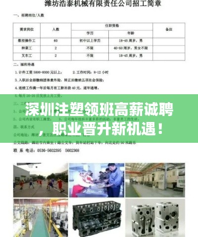 深圳注塑领班高薪诚聘,职业晋升新机遇!