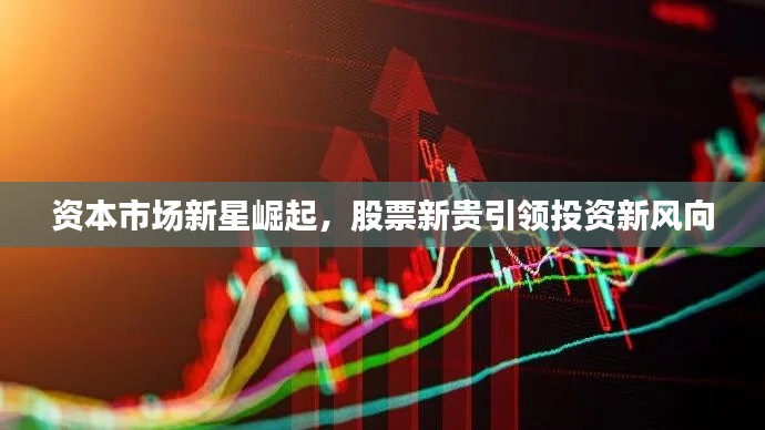 资本市场新星崛起,股票新贵引领投资新风向