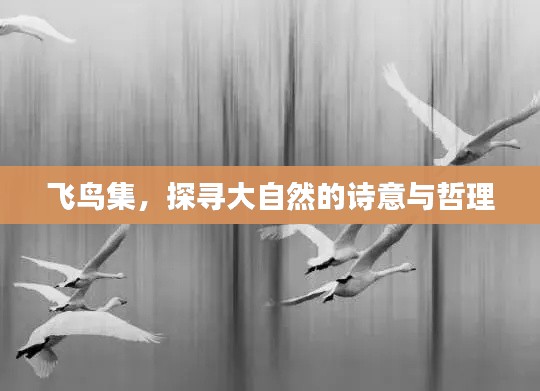 飞鸟集,探寻大自然的诗意与哲理