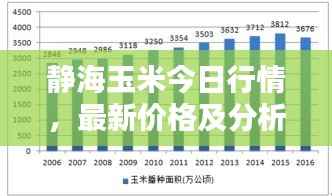静海玉米今日行情,最新价格及分析报告