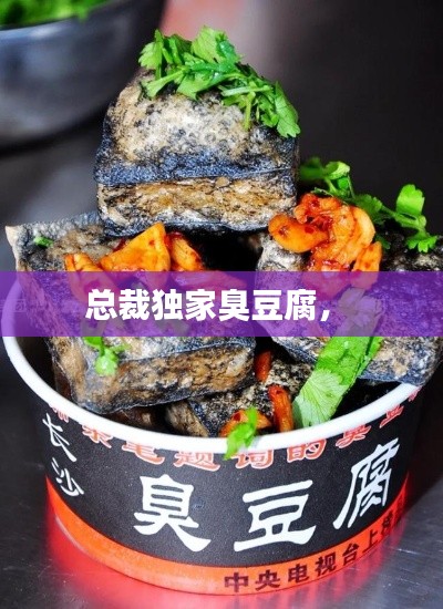 总裁独家臭豆腐,