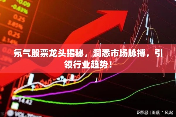 氖气股票龙头揭秘,洞悉市场脉搏,引领行业趋势!
