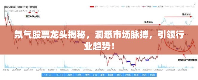 氖气股票龙头揭秘,洞悉市场脉搏,引领行业趋势!