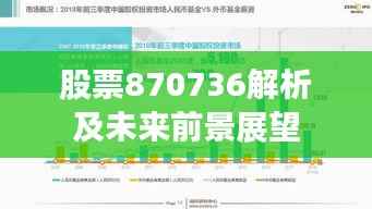 股票870736解析及未来前景展望