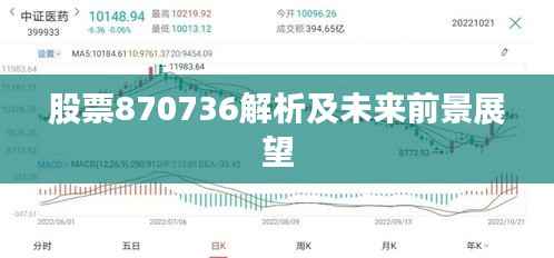 股票870736解析及未来前景展望
