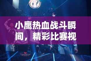 小鹰热血战斗瞬间,精彩比赛视频集锦回顾