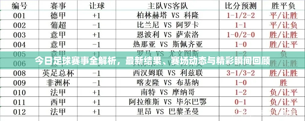 今日足球赛事全解析,最新结果、赛场动态与精彩瞬间回顾