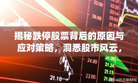 揭秘跌停股票背后的原因与应对策略,洞悉股市风云,把握投资先机