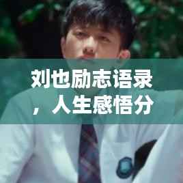 刘也励志语录,人生感悟分享