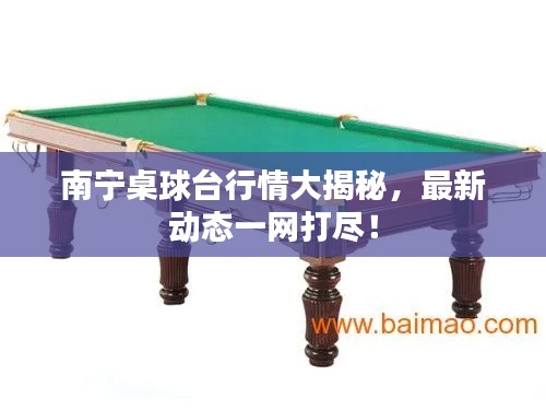 南宁桌球台行情大揭秘,最新动态一网打尽!