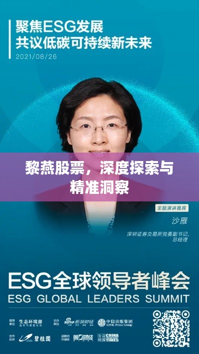 黎燕股票,深度探索与精准洞察