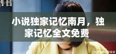 小说独家记忆南月,独家记忆全文免费