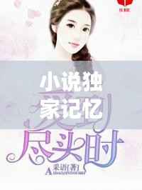 小说独家记忆南月,独家记忆全文免费