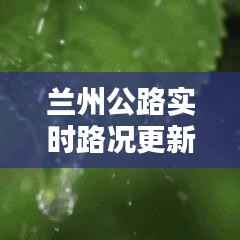 兰州公路实时路况更新,最新路况查询报道