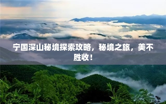 优秀课例 第201页