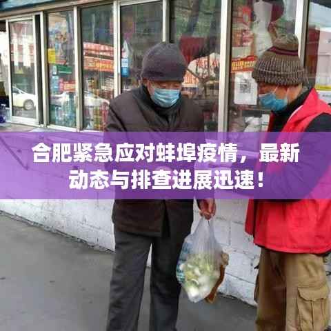 合肥紧急应对蚌埠疫情,最新动态与排查进展迅速!