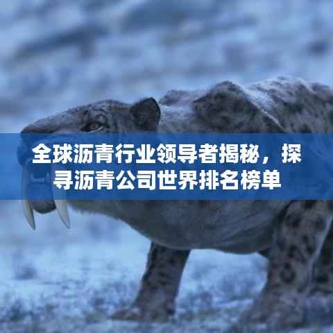 全球沥青行业领导者揭秘,探寻沥青公司世界排名榜单