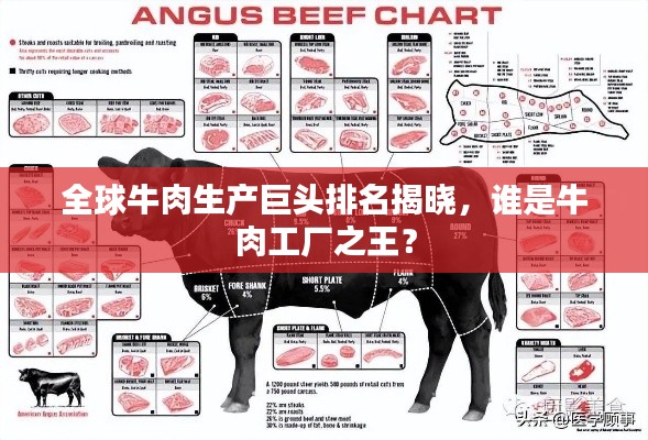全球牛肉生产巨头排名揭晓,谁是牛肉工厂之王?