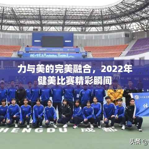 力与美的完美融合,2022年健美比赛精彩瞬间