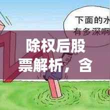 除权后股票解析,含义、影响全解析