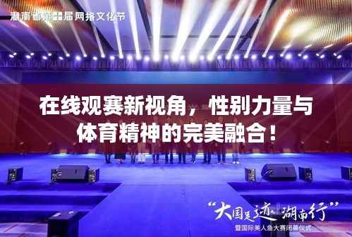 在线观赛新视角,性别力量与体育精神的完美融合!