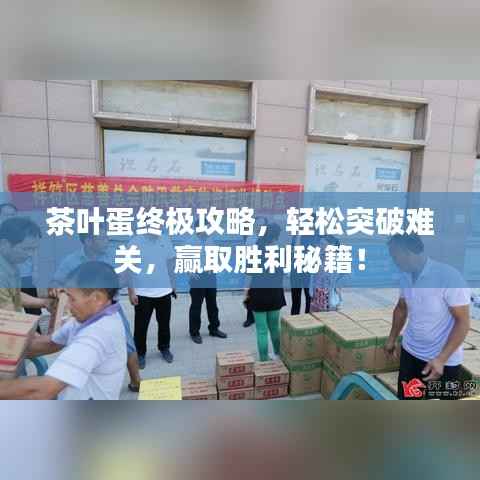 茶叶蛋终极攻略,轻松突破难关,赢取胜利秘籍!