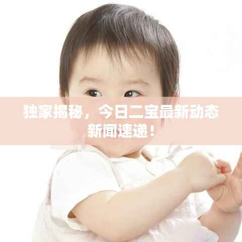 独家揭秘,今日二宝最新动态新闻速递!