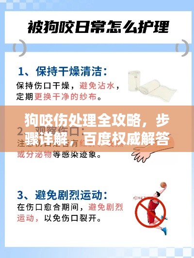 狗咬伤处理全攻略,步骤详解,百度权威解答