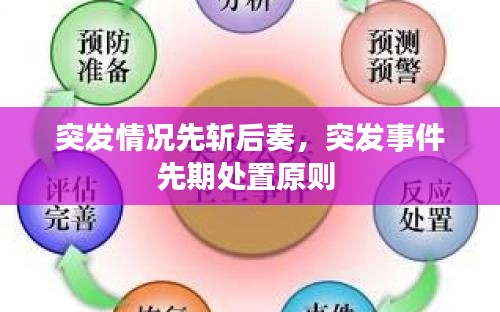 突发情况先斩后奏,突发事件先期处置原则