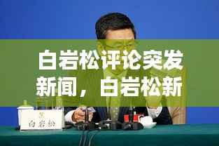 白岩松评论突发新闻,白岩松新闻时评