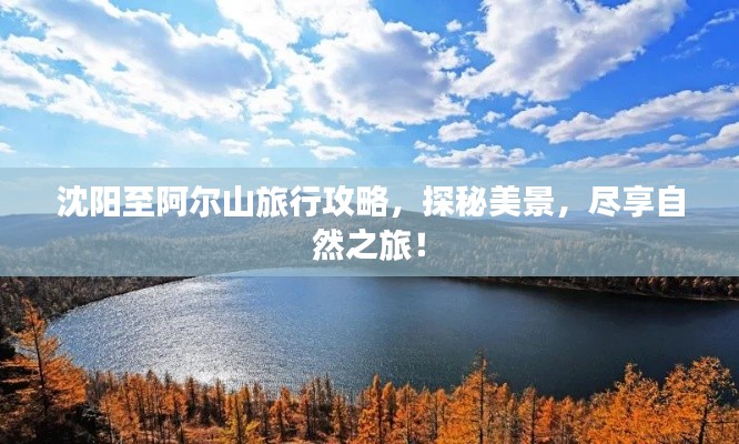 沈阳至阿尔山旅行攻略,探秘美景,尽享自然之旅!